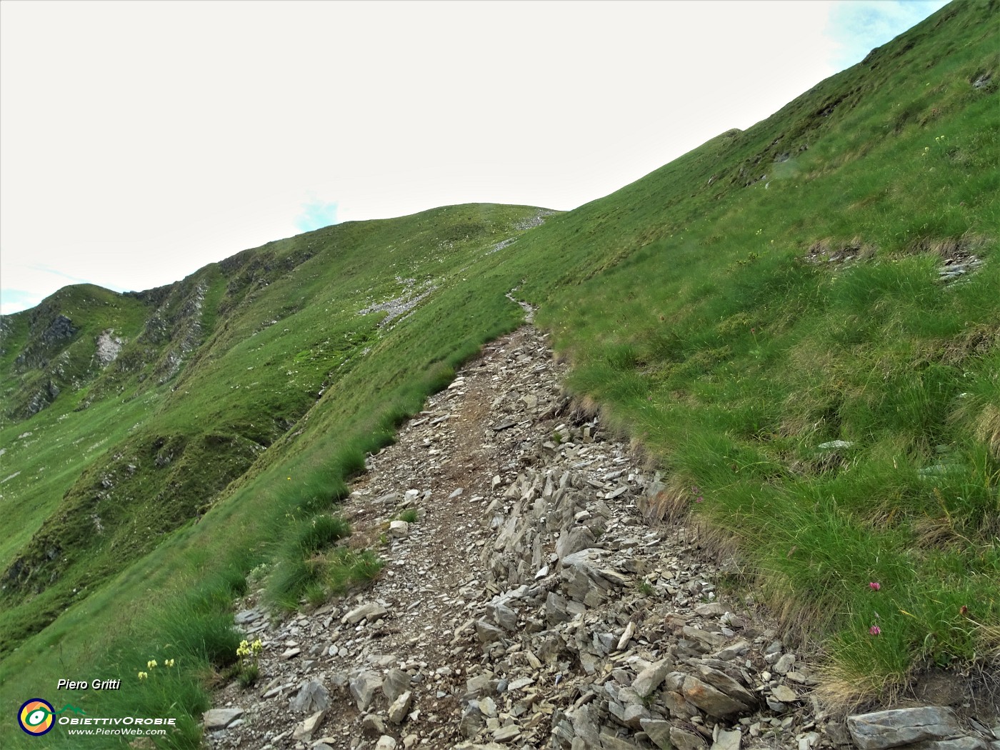 64 Sul sentiero di salita dal Passo di Tartano a Cima di Lemma.JPG